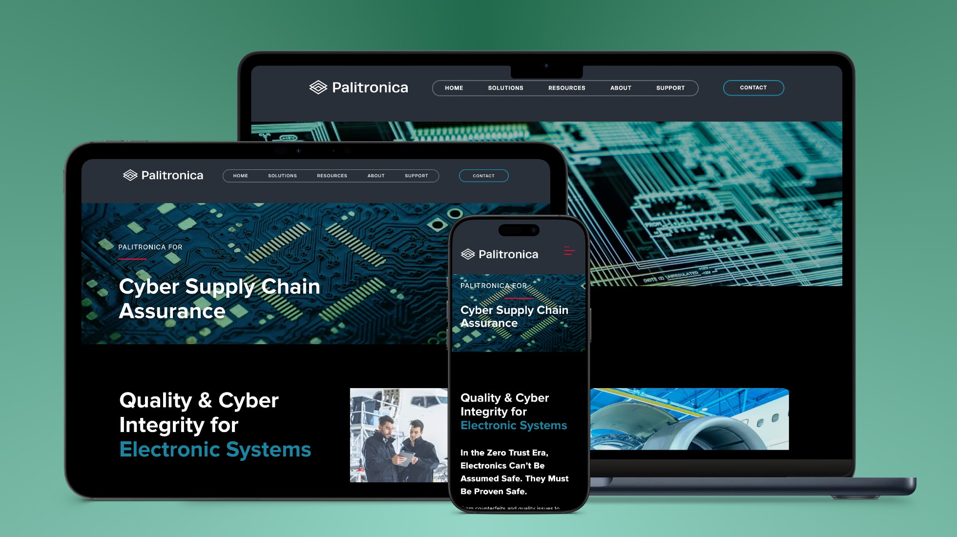 Palitronica Cyber Supply Chain